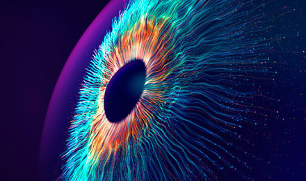 2025 What To Expect Summary