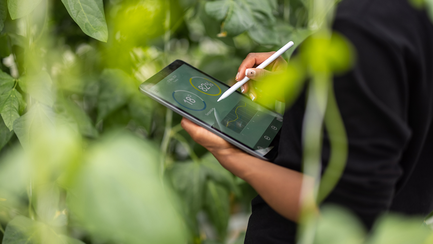 Digital tablet for analysis of plantation provided by HP